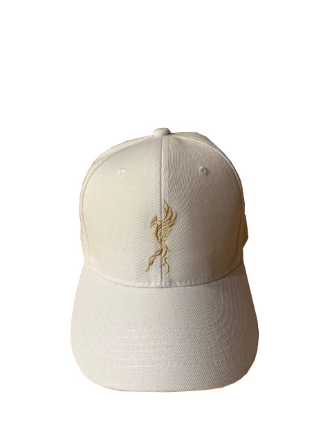 Casquette baseball Sphennix - portée à l'envers